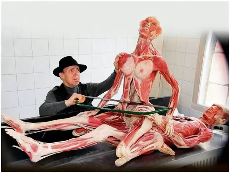 米蘭將舉辦尸體展！骨骼，肌肉，血管...一覽無遺！你敢看嗎?